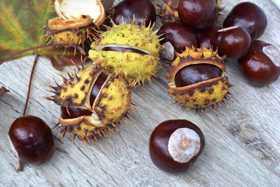 wild chestnut for back pain