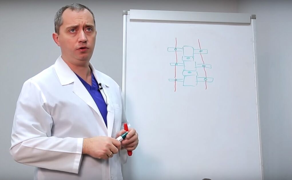 The doctor shows the spine structure